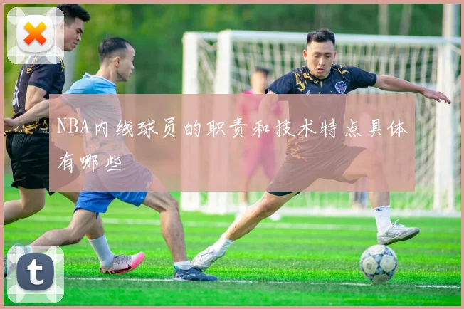 NBA内线球员的职责和技术特点具体有哪些