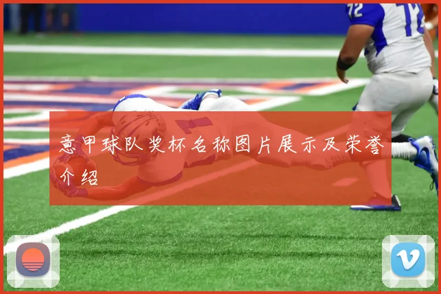 意甲球队奖杯名称图片展示及荣誉介绍