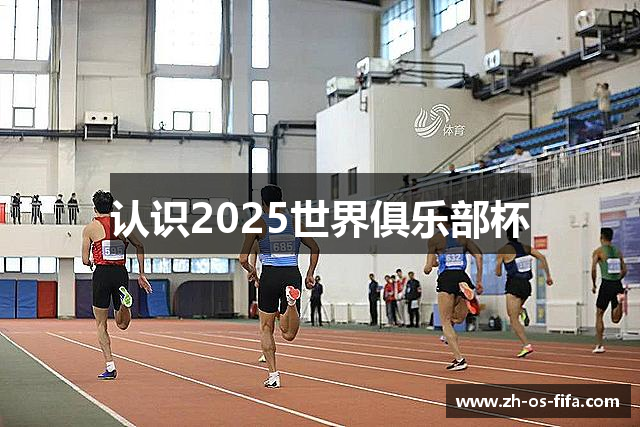 认识2025世界俱乐部杯